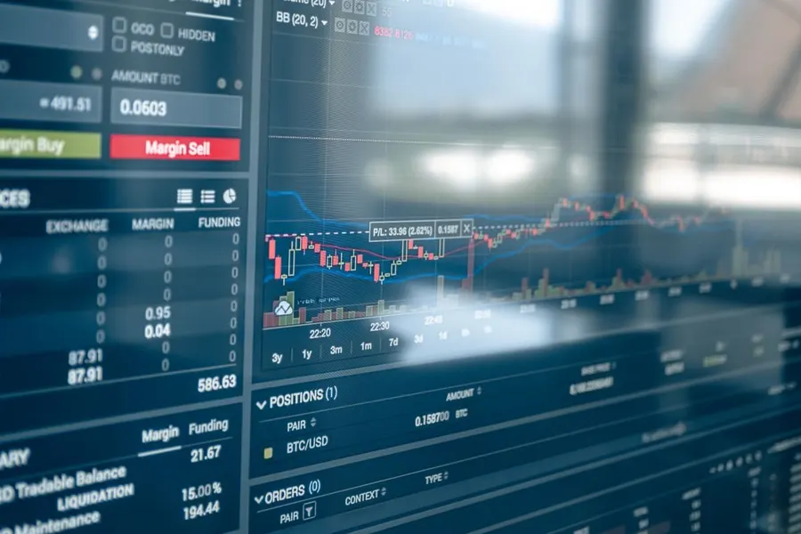 Financial models and large-scale simulations